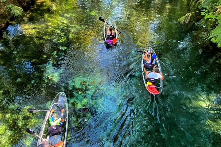 Experience the serene beauty of Silver Springs while gliding through crystal-clear waters. Clear kayaks provide an unmatched perspective of the lush surroundings creating unforgettable moments on your journey.